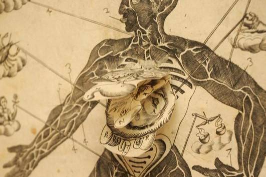 Armonia astro-medico-anotomica, 1690